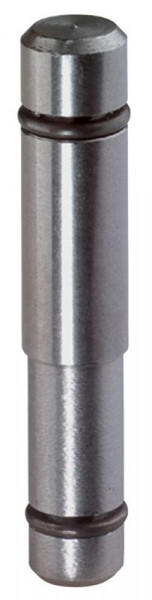 Einschlagstift